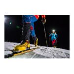 Ski Alp