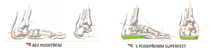 Biomechanika