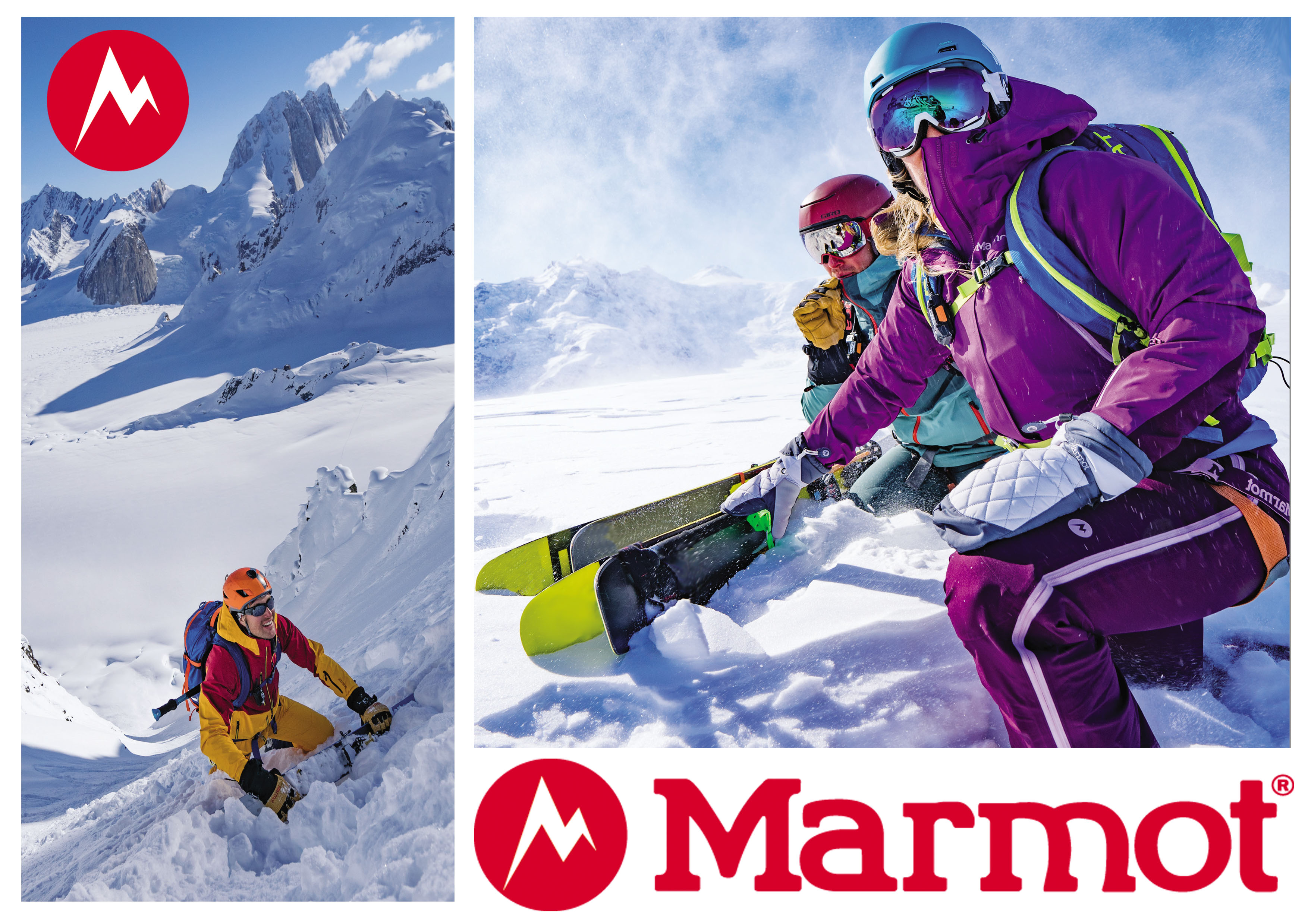 Marmot1