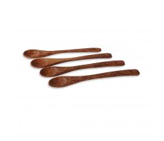 Spoon Set (4 pcs)