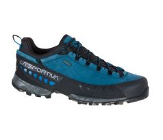 TX5 Low GTX