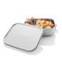 Lunch Box II 1000 lock