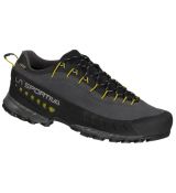 TX4 GTX carbon/kiwi 46 EU